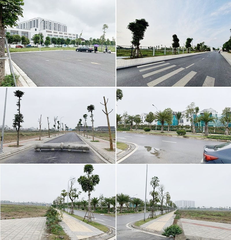 dự án The Diamond Point (