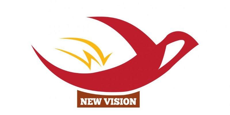 Giới thiệu về chủ đầu tư New Vision - thuộc tổng Tập đoàn Vingroup